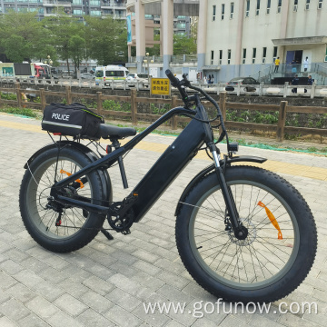 750W Lithium Battery 48V Electric Bicycle Electric Bikes